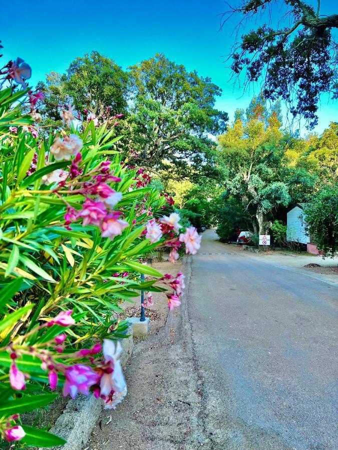 Camping Les Ilots D'Or Porto Vecchio Exterior foto