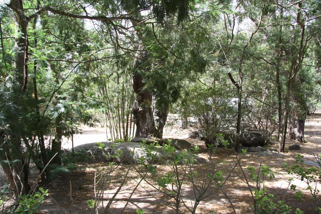 Camping Les Ilots D'Or Porto Vecchio Exterior foto